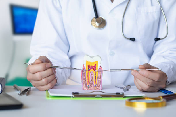 Best Emergency Treatment for Toothache in Doffing, TX